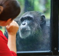 The Rockhampton Zoo - Holiday Jervis Bay