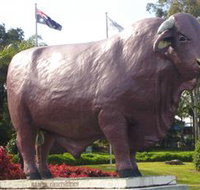 Rockhampton Bull Statues - Holiday Jervis Bay