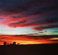 Springview Eco-Farm - Holiday Jervis Bay