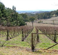 Habitat Vineyard - Holiday Jervis Bay