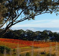 Bloodwood Estate - Holiday Jervis Bay