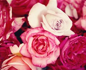 Samaria Farm - Holiday Jervis Bay 1