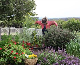 Samaria Farm - Holiday Jervis Bay 4