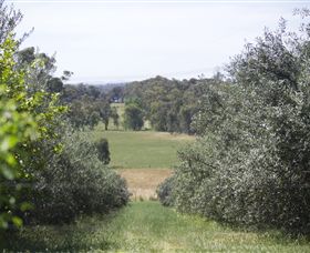 Samaria Farm - Holiday Jervis Bay 7
