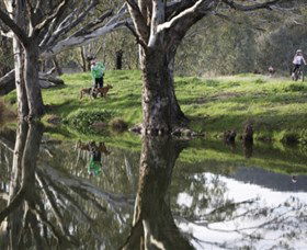 Albury - Murray River Precinct - Holiday Jervis Bay 3