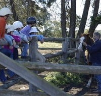 Harlow Park Horse Riding - Holiday Jervis Bay