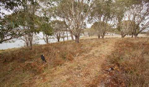 Lagoon Circuit Walking Track - Holiday Jervis Bay 1