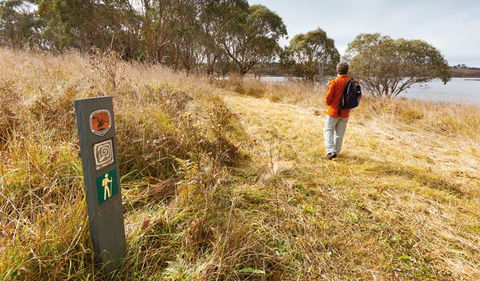 Lagoon Circuit Walking Track - Holiday Jervis Bay 2