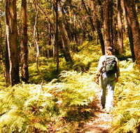 Federal Pass - Holiday Jervis Bay