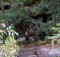 Leura Cascades Fern Bower - Holiday Jervis Bay