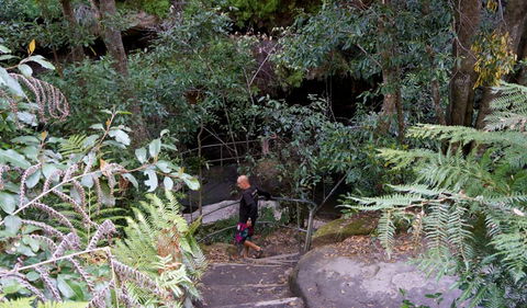 Leura Cascades Fern Bower - Holiday Jervis Bay 0