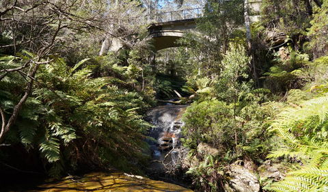 Leura Cascades Fern Bower - Holiday Jervis Bay 3