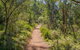 Mares Forest Creek Walking Track - thumb 0