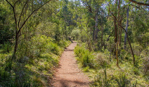 Mares Forest Creek Walking Track - Holiday Jervis Bay 0