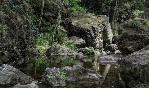Mares Forest Creek Walking Track - Holiday Jervis Bay 1
