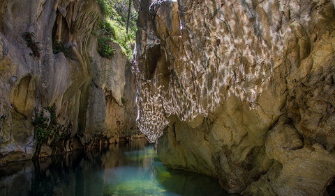 Mares Forest Creek Walking Track - Holiday Jervis Bay 2