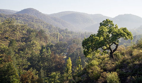 Mares Forest Creek Walking Track - Holiday Jervis Bay 3