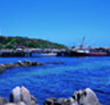 King Island Dairies - Holiday Jervis Bay