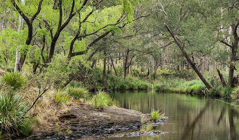 Koreelah National Park - Holiday Jervis Bay 1