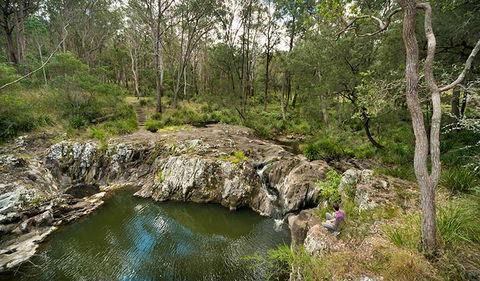 Koreelah National Park - Holiday Jervis Bay 2