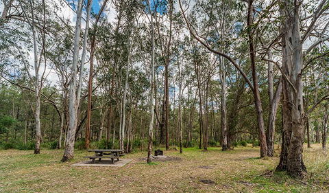 Koreelah National Park - Holiday Jervis Bay 3