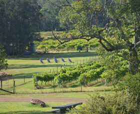Wollombi Wines - Holiday Jervis Bay 8