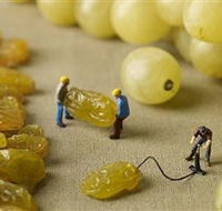 Hunter Valley Wine School - Holiday Jervis Bay