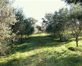 Langdale Farm - Holiday Jervis Bay