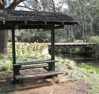 Barrington Tops State Forest - Holiday Jervis Bay