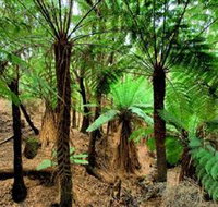 Pegarah Private Nature Reserve  Parenna Place - Holiday Jervis Bay