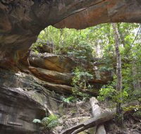 Cave Creek Walking Track - Holiday Jervis Bay