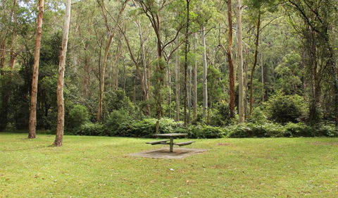Mill Creek Picnic Area - Holiday Jervis Bay 1