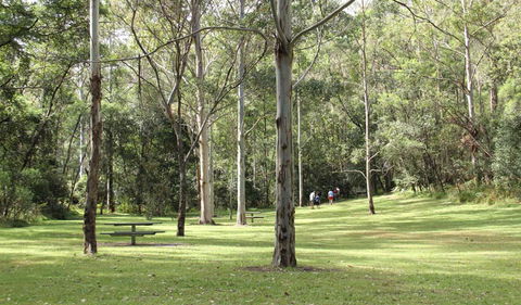 Mill Creek Picnic Area - Holiday Jervis Bay 3