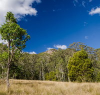 Brush Turkey track - Holiday Jervis Bay