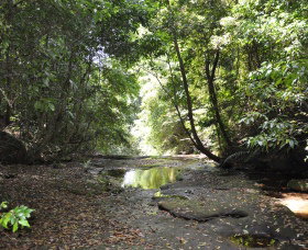 State Forests Of The Watagan Mountains - Holiday Jervis Bay 1