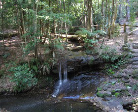 State Forests Of The Watagan Mountains - Holiday Jervis Bay 3