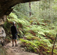 Dharug National Park - Holiday Jervis Bay