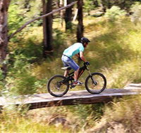 The Steps Mountain Bike Park - Holiday Jervis Bay