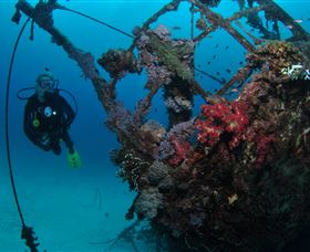 Severance Shipwreck Dive Site - Holiday Jervis Bay 0