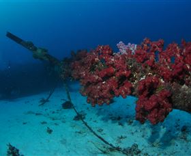 Severance Shipwreck Dive Site - Holiday Jervis Bay 2