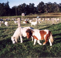 Trudgalong Farm - Holiday Jervis Bay