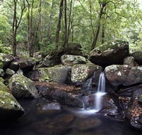 Kangaroo River - Holiday Jervis Bay