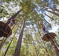 TreeTop Adventure Park Central Coast - Holiday Jervis Bay