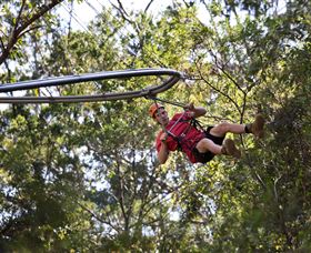 TreeTops Crazy Rider - Holiday Jervis Bay 1