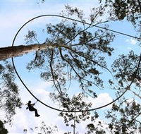TreeTops Crazy Rider - Holiday Jervis Bay
