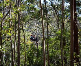 TreeTops Crazy Rider - Holiday Jervis Bay 3