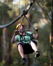 TreeTops Crazy Rider - Holiday Jervis Bay 2