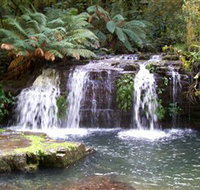 Barrington Tops National Park Walks - Holiday Jervis Bay