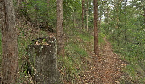 Border Loop Walk - Holiday Jervis Bay 0