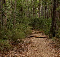 Pigeon House Mountain Didthul walking track - Holiday Jervis Bay